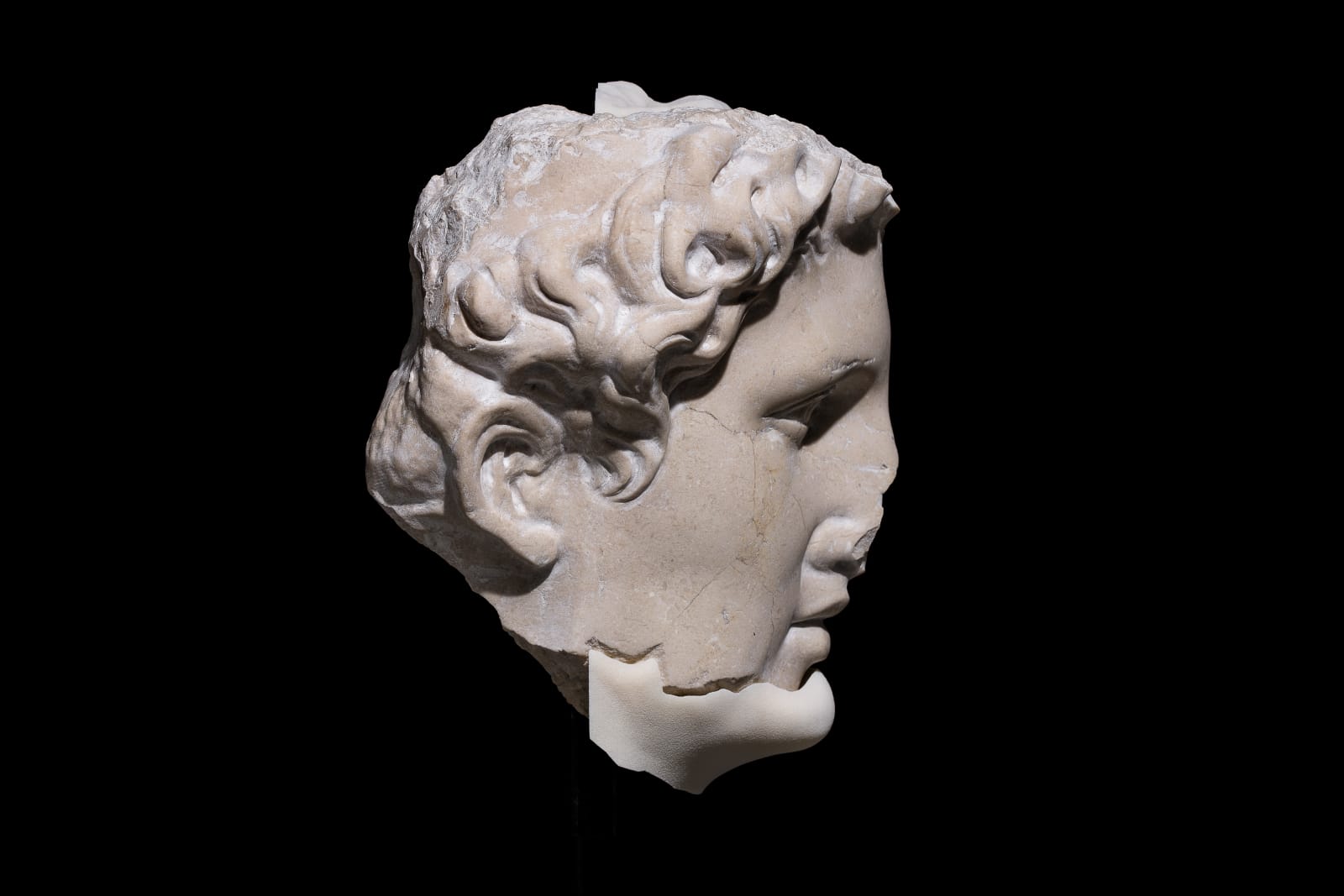 Егор Крафт, CAS_08 Hellenistic ruler, 2018