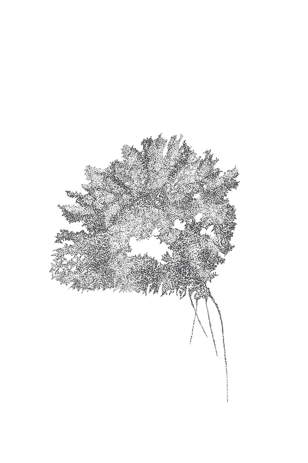 Aljoscha, Untitled | Без названия, 2014