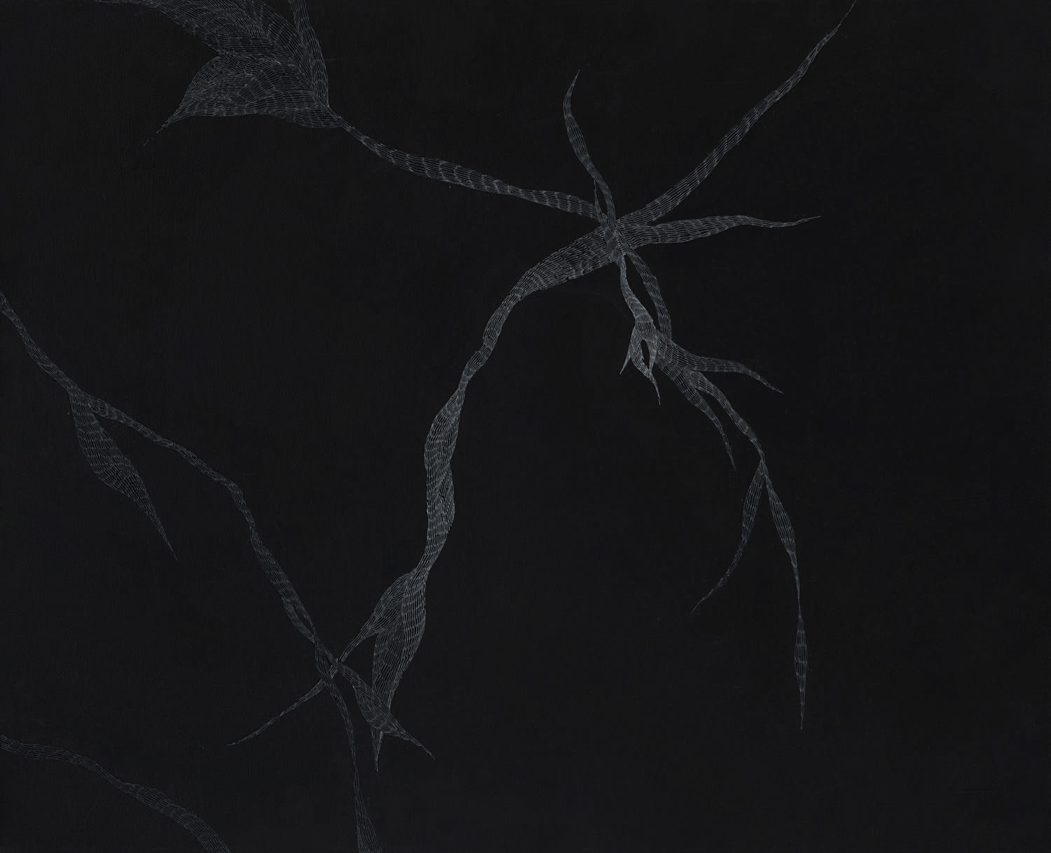 Устина Яковлева, Untitled, 2011