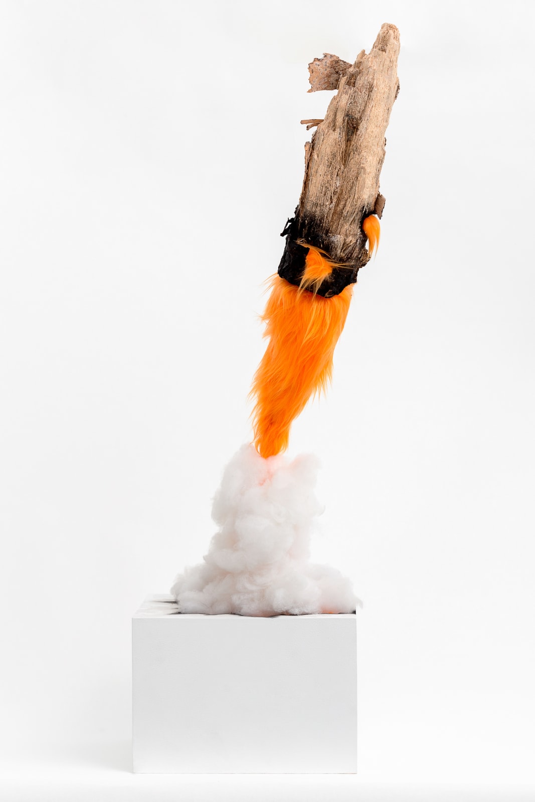 Ростан Тавасиев, Russian cosmism | Русский космизм, 2015