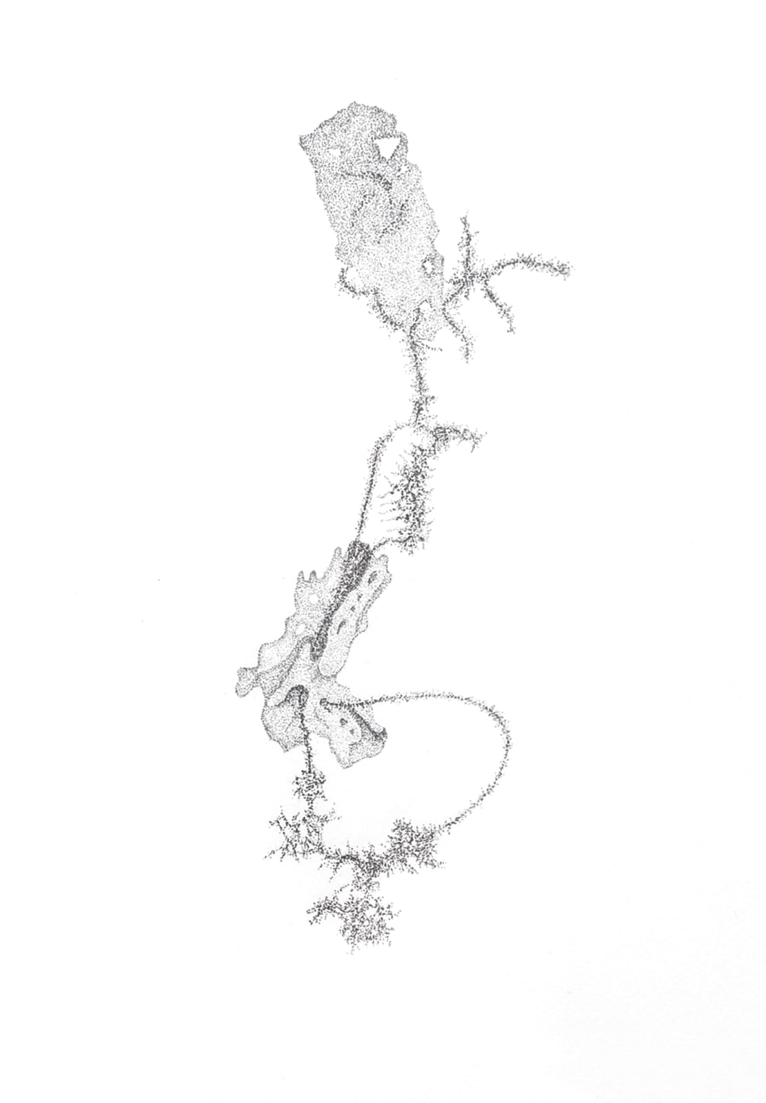 Aljoscha, Untilted, 2014