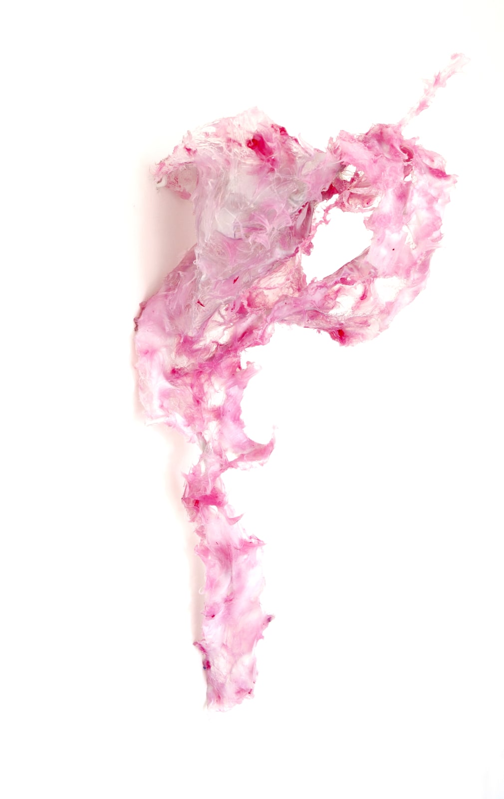 Aljoscha, Object #248, 2014