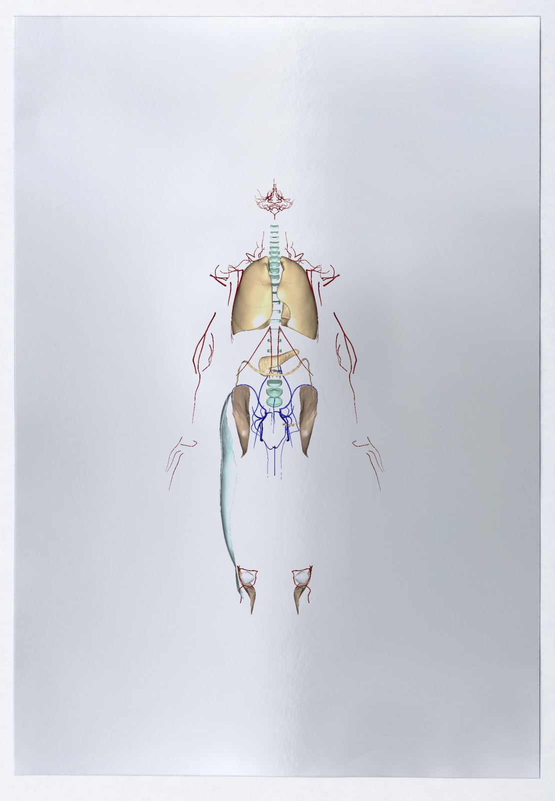 Валерия Абендрот, Pancreas, 2020