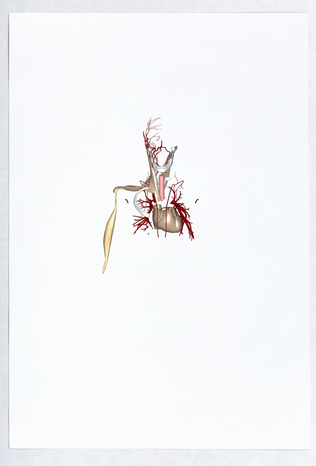 Валерия Абендрот, Heart, 2020
