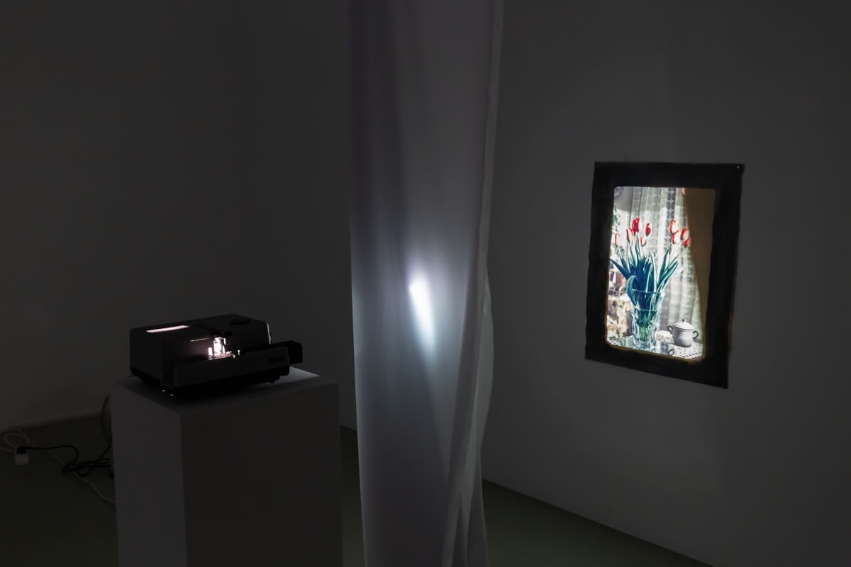 Евгений Гранильщиков, Tulips | Тюльпаны, 2025