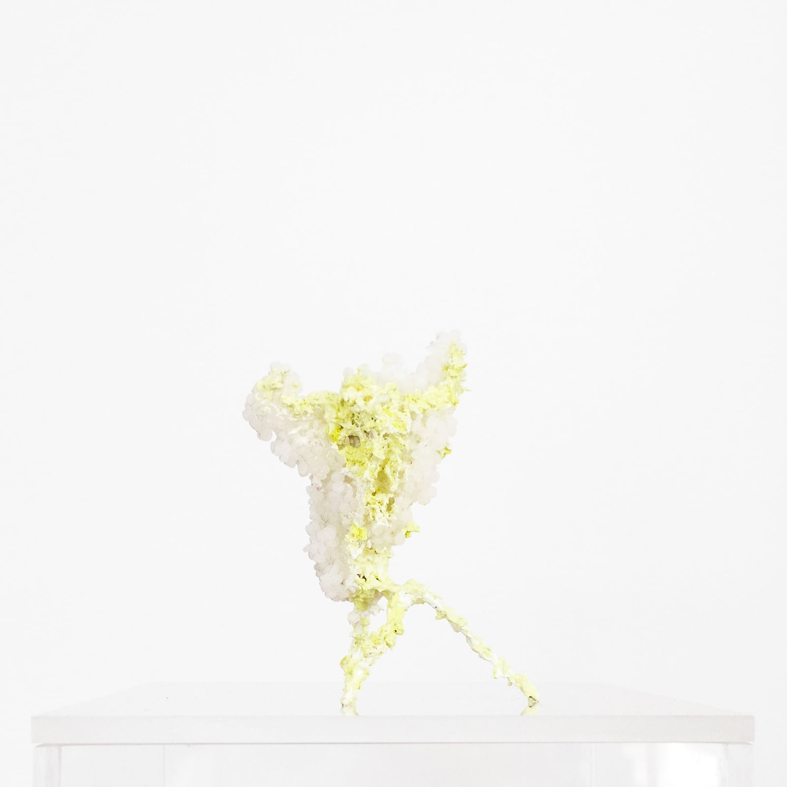 Aljoscha, Object #267, 2018
