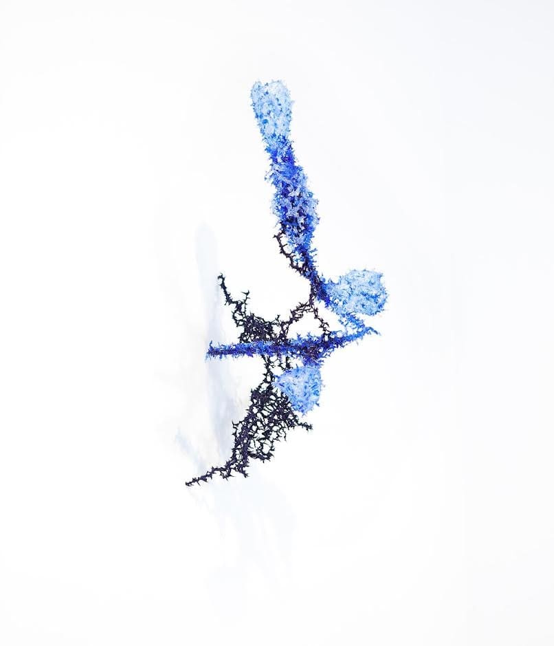 Aljoscha, Untited, 2016