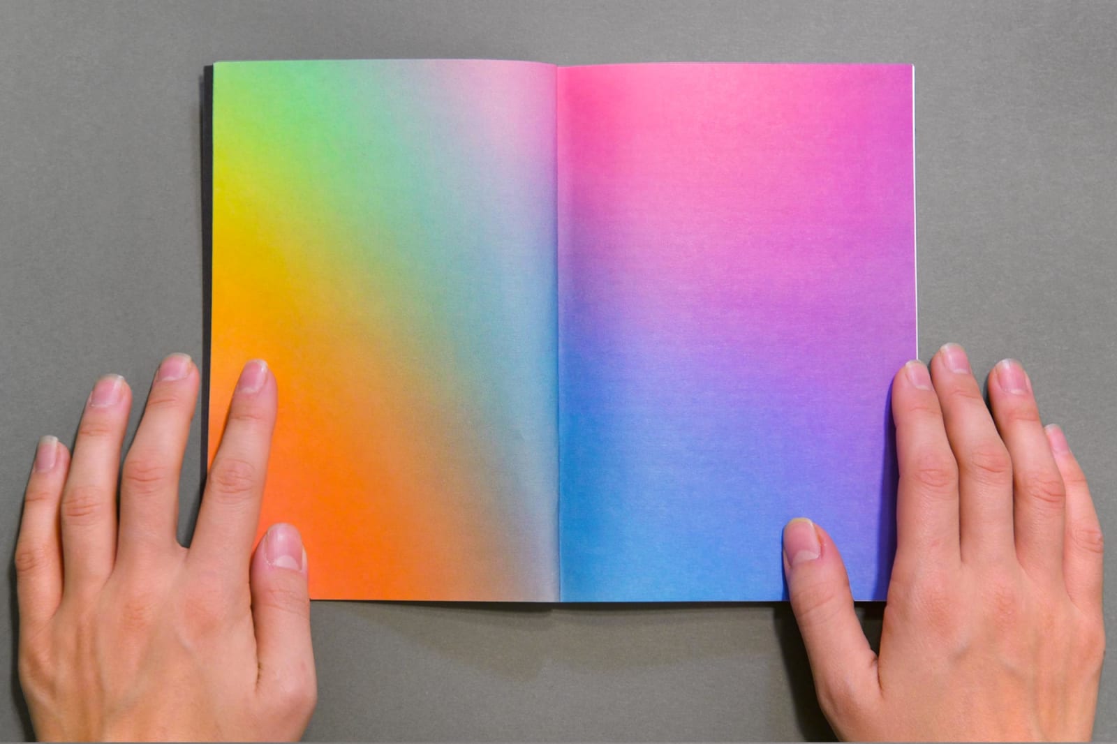 Егор Крафт, The New Color book, 2018