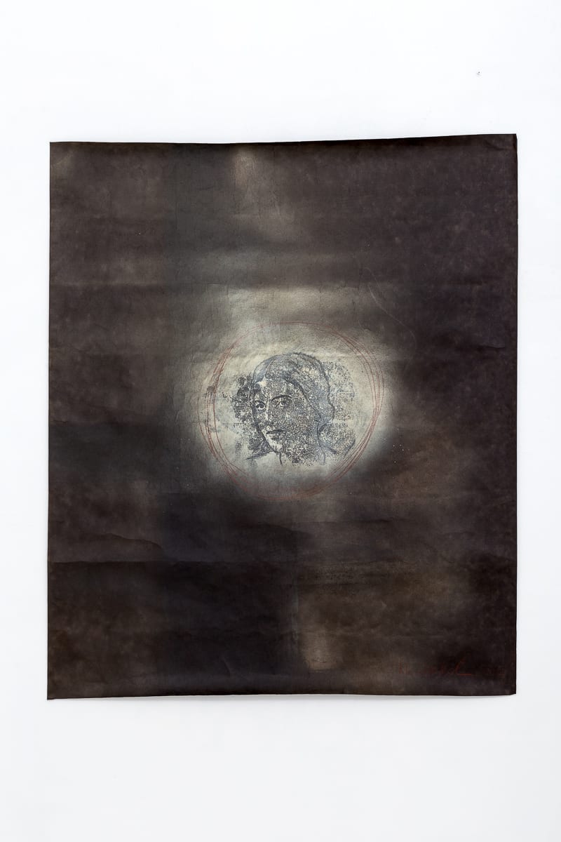 Хаим Сокол, Larissa Reissner | Лариса Рейснер, 2014
