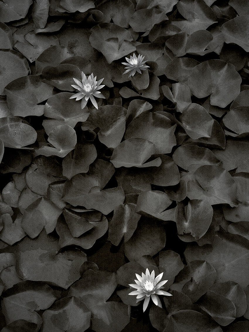 Pierre-Elie de Pibrac, Mono no Aware #3, 2021