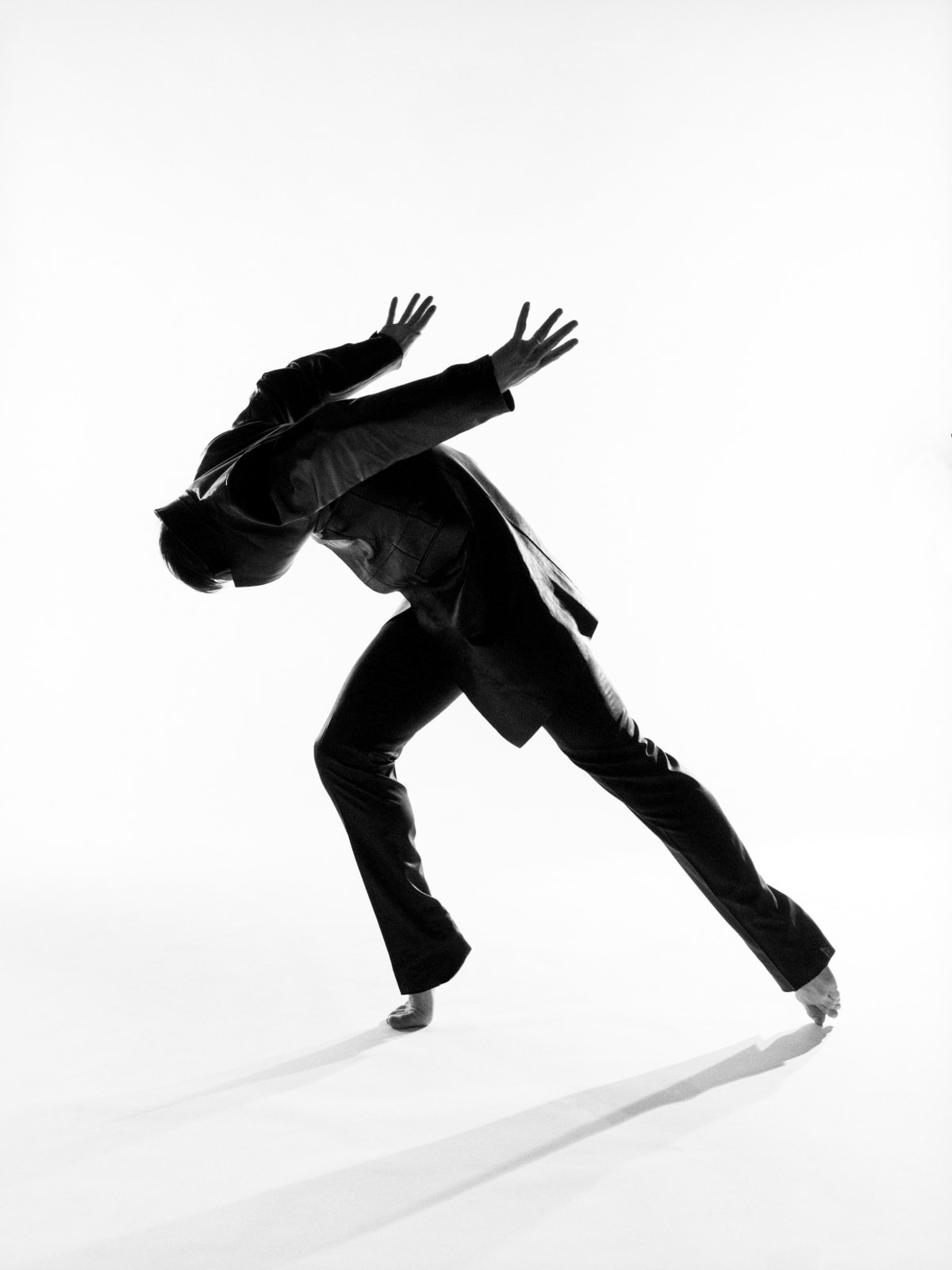 Ann Ray, "Shadowgraph II", Nicolas Le Riche, 2006