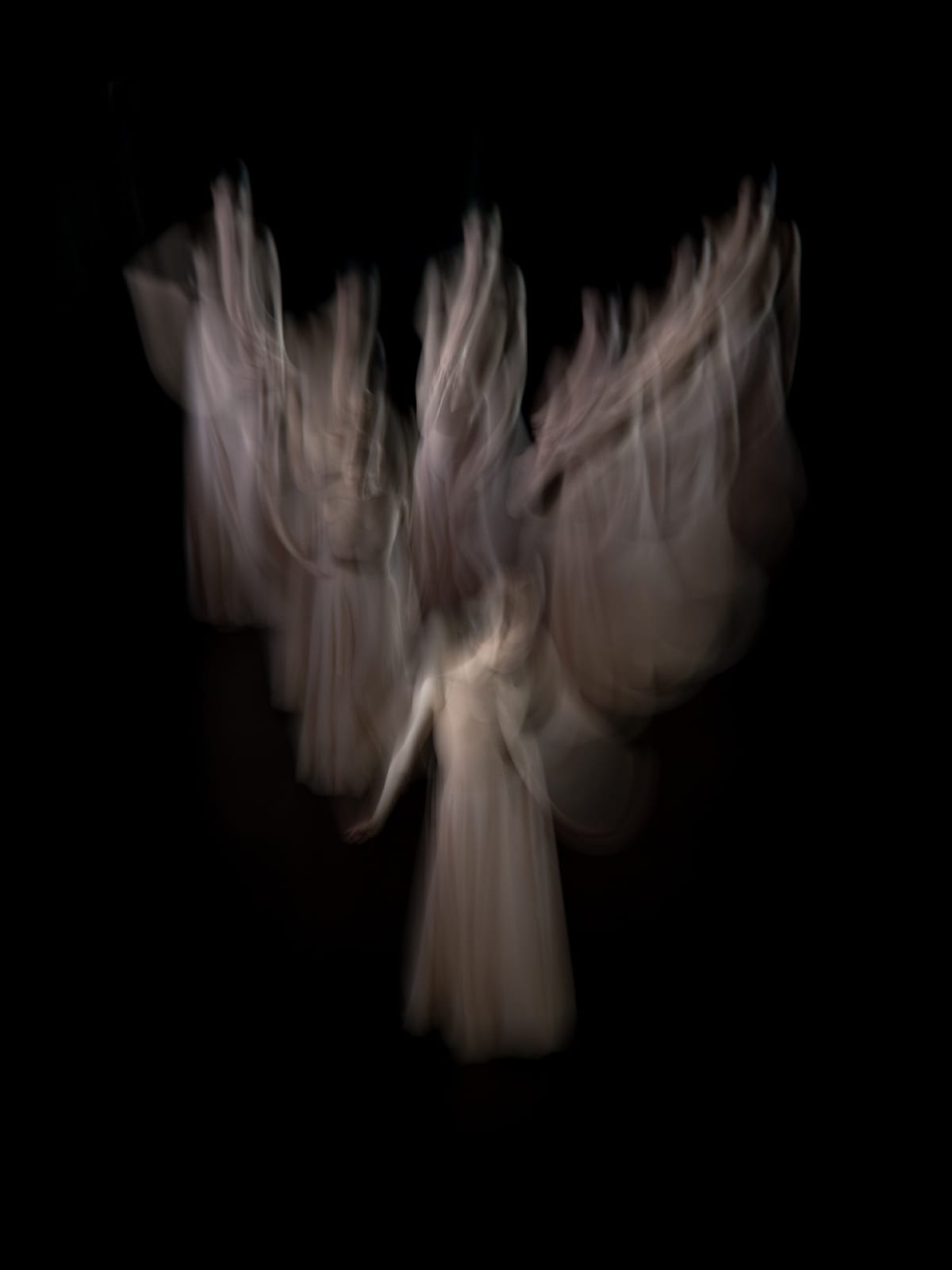 Pierre-Elie de Pibrac, Catharsis#19, 2013-14