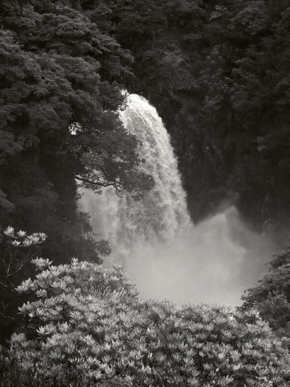 Pierre-Elie de Pibrac, Mono no Aware #4, 2021