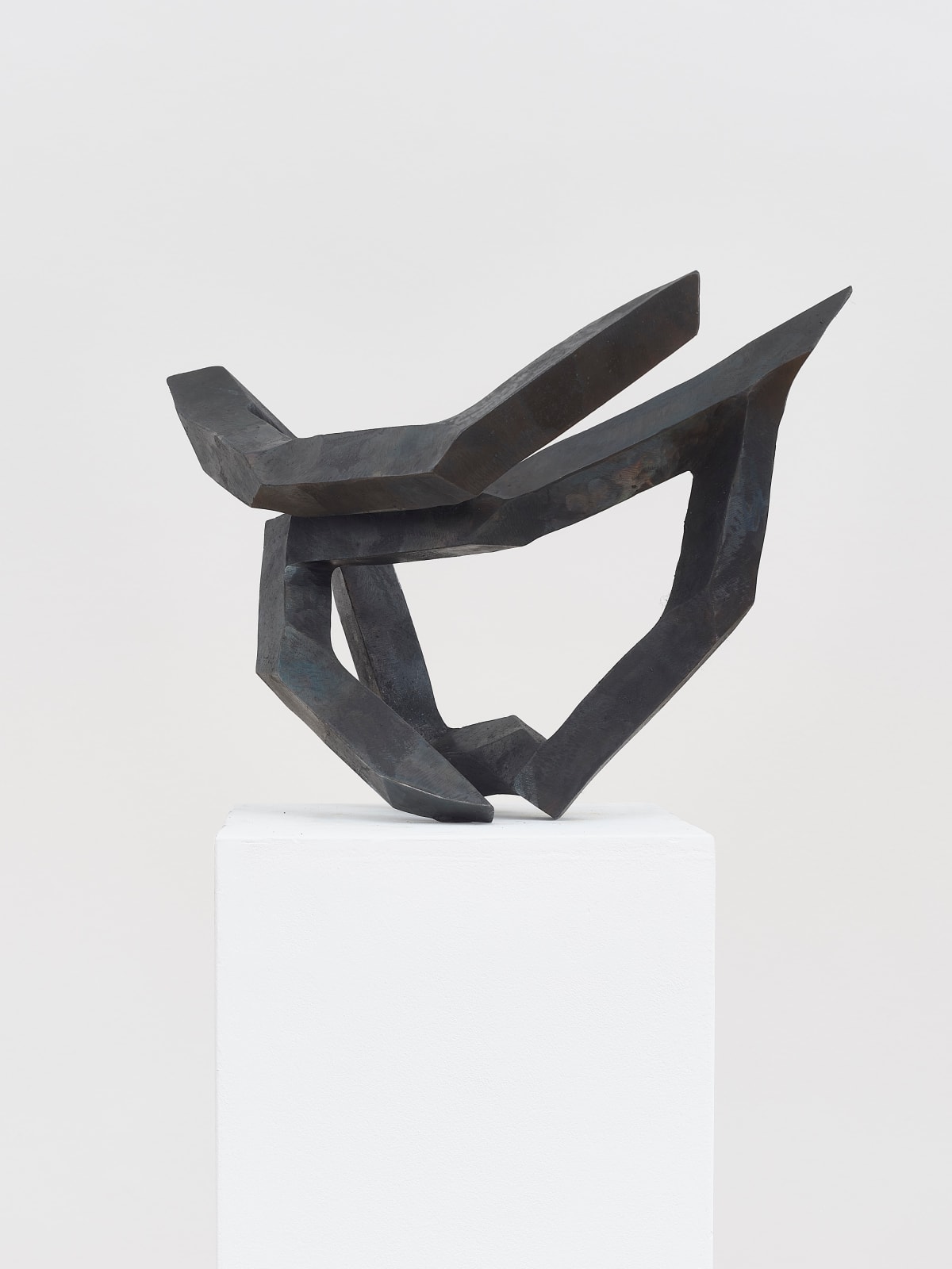 Robert Schad, MONS, 2024