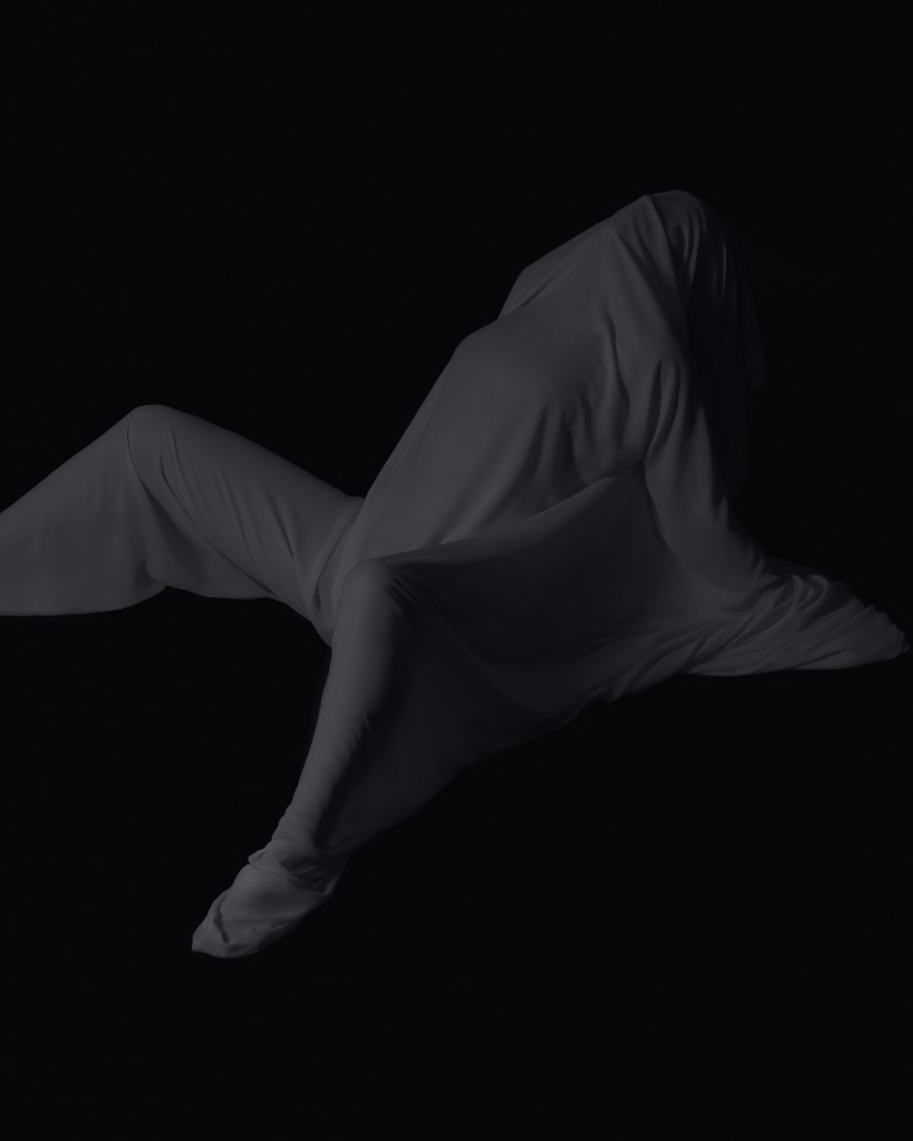 Pierre-Elie de Pibrac, Silenciar#15, 2019-20