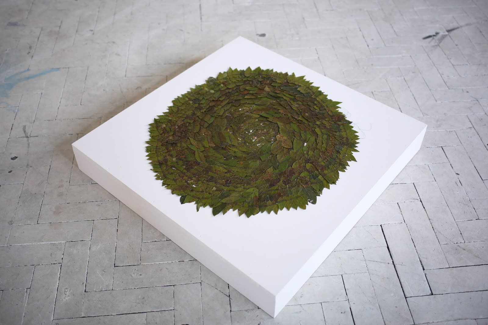 Elie Bouisson, Pièce de confinement , 2020