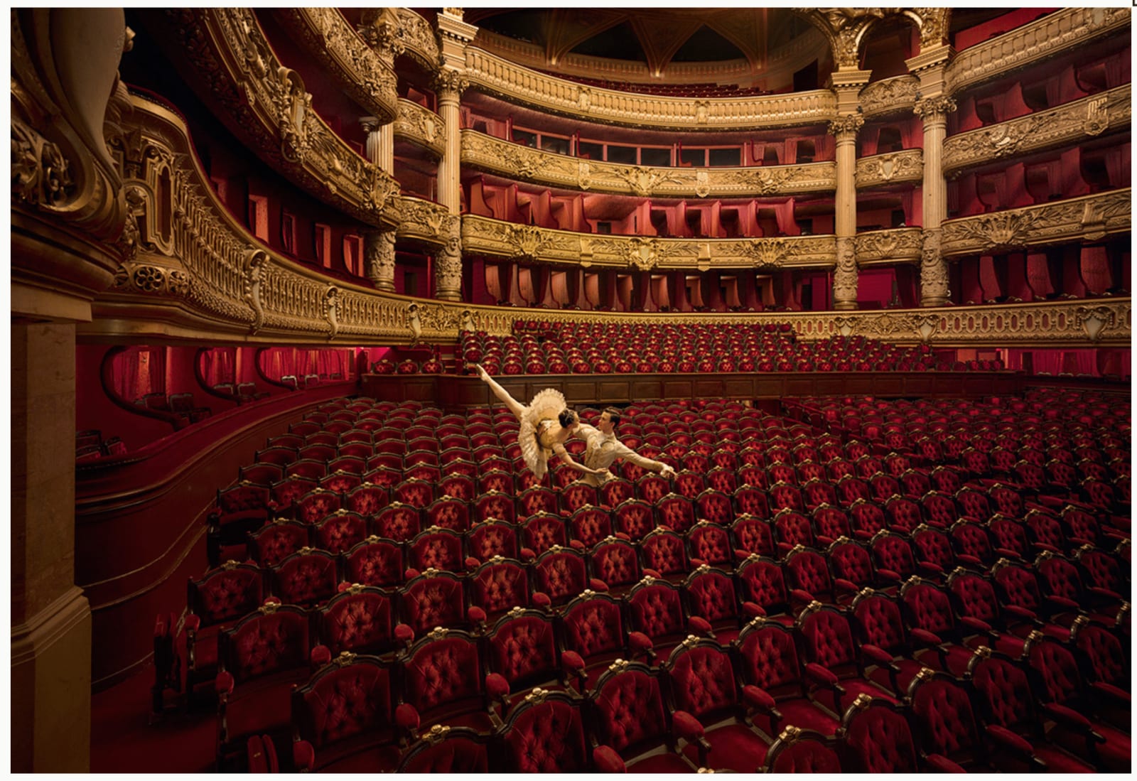 Pierre-Elie de Pibrac, Analogia #8 , 2013-14