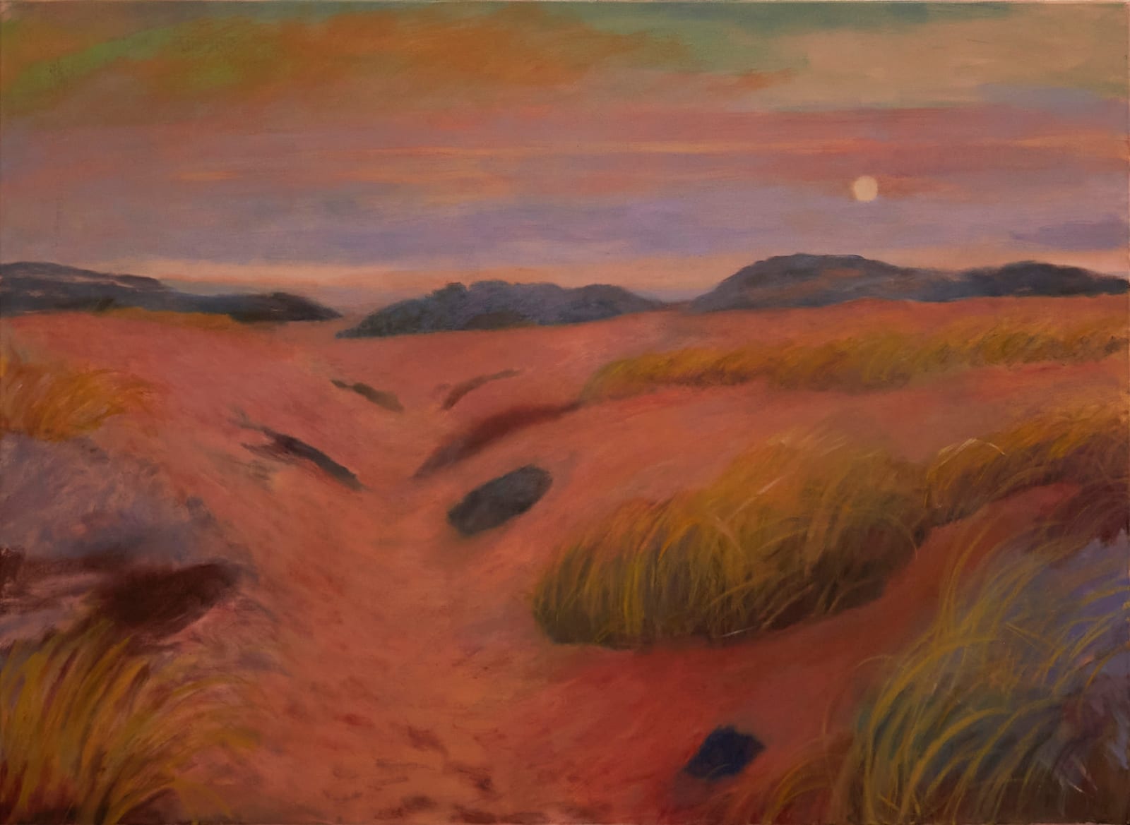 Sammi Lynch, The Wild and Weedy Dunes, 2024