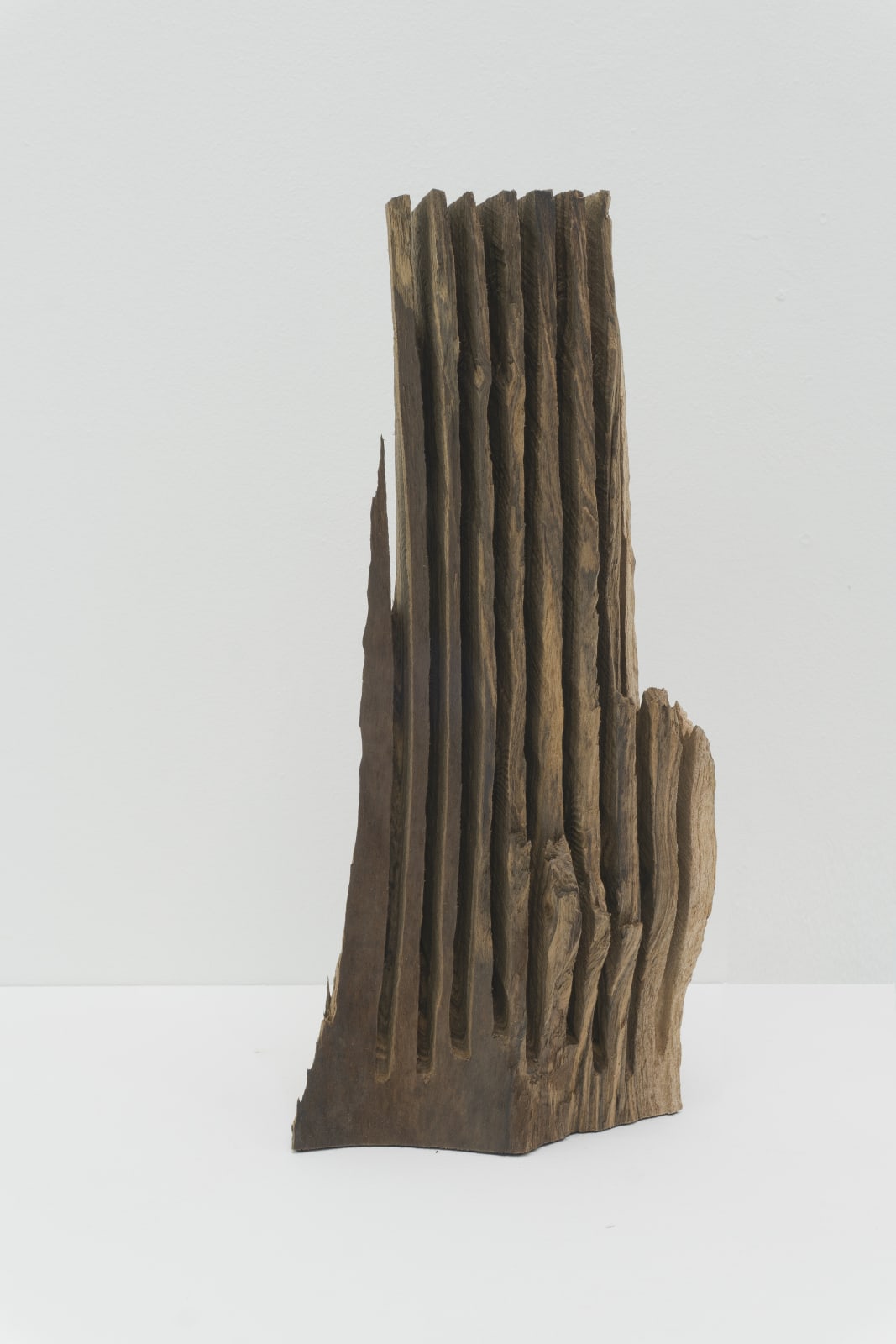 David Nash, Cut Through Walnut II, 2021