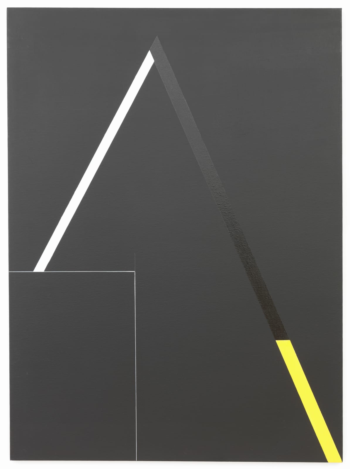 Tamás Konok, Signe, 1999