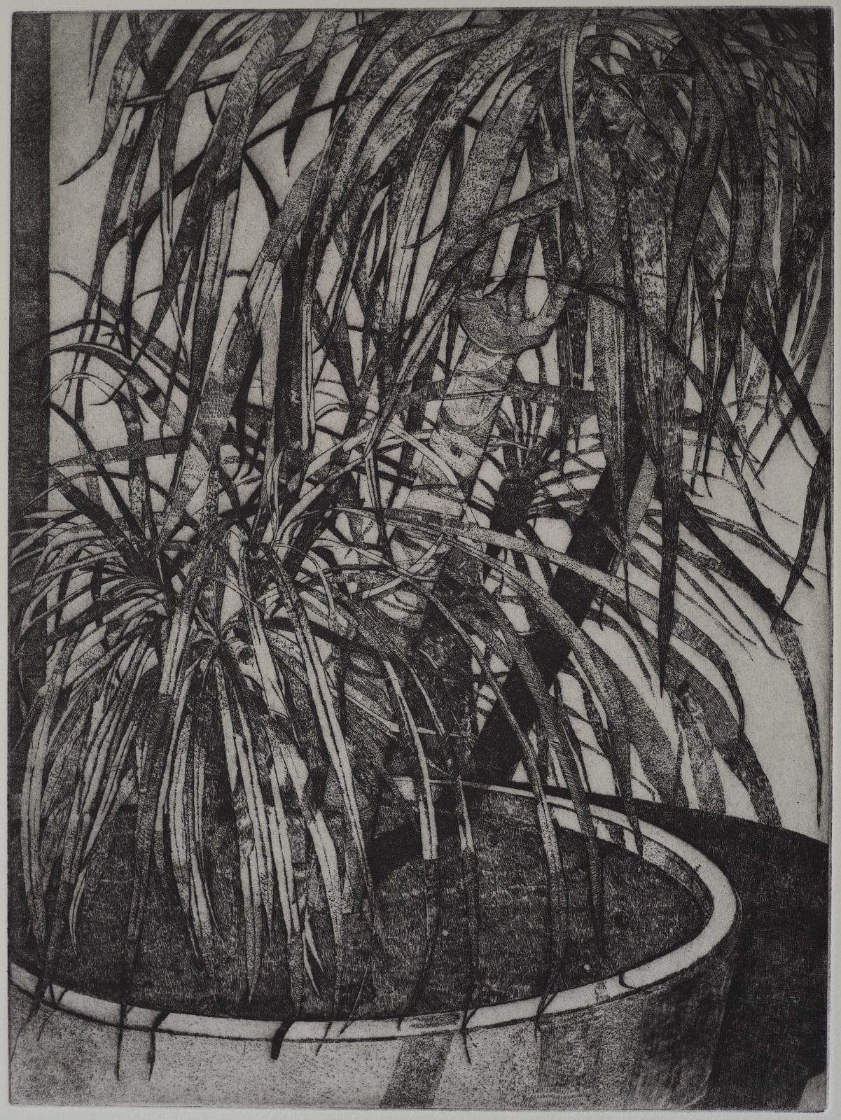 Esme Hodsoll, Palm (by night), 2024