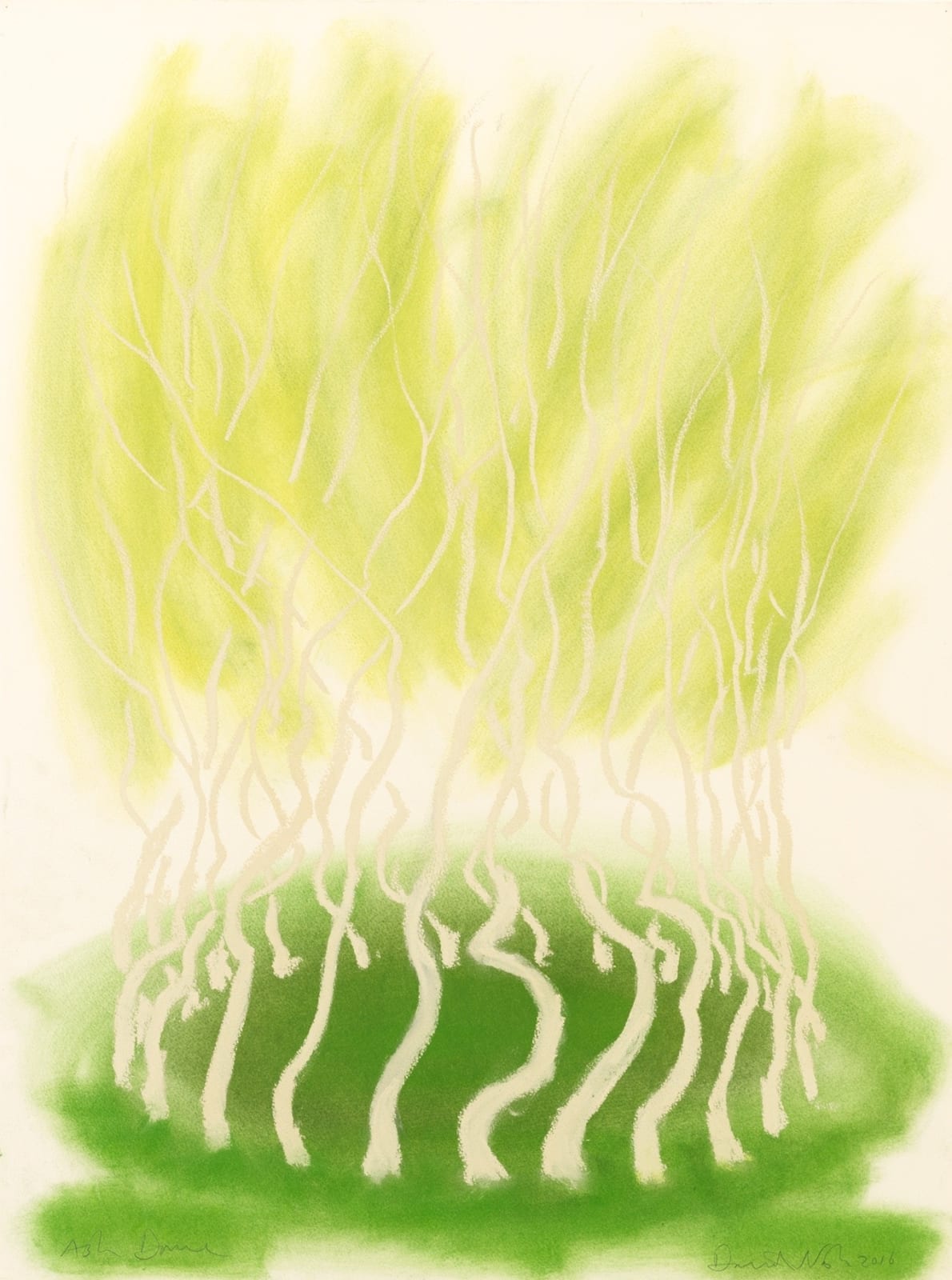 David Nash, Ash Dome, 2016