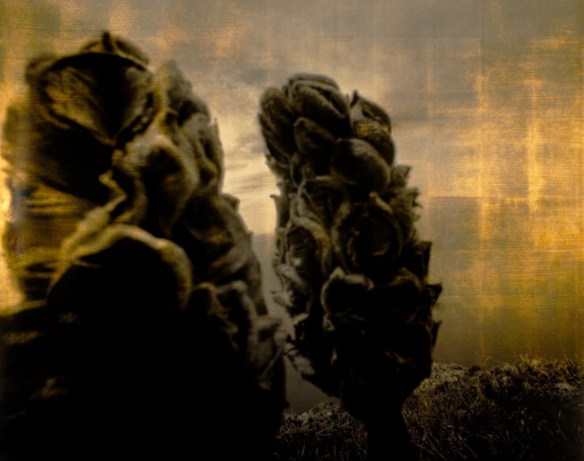 Taku Aramasa, HORIZON - Visible Transfiguration, 2007