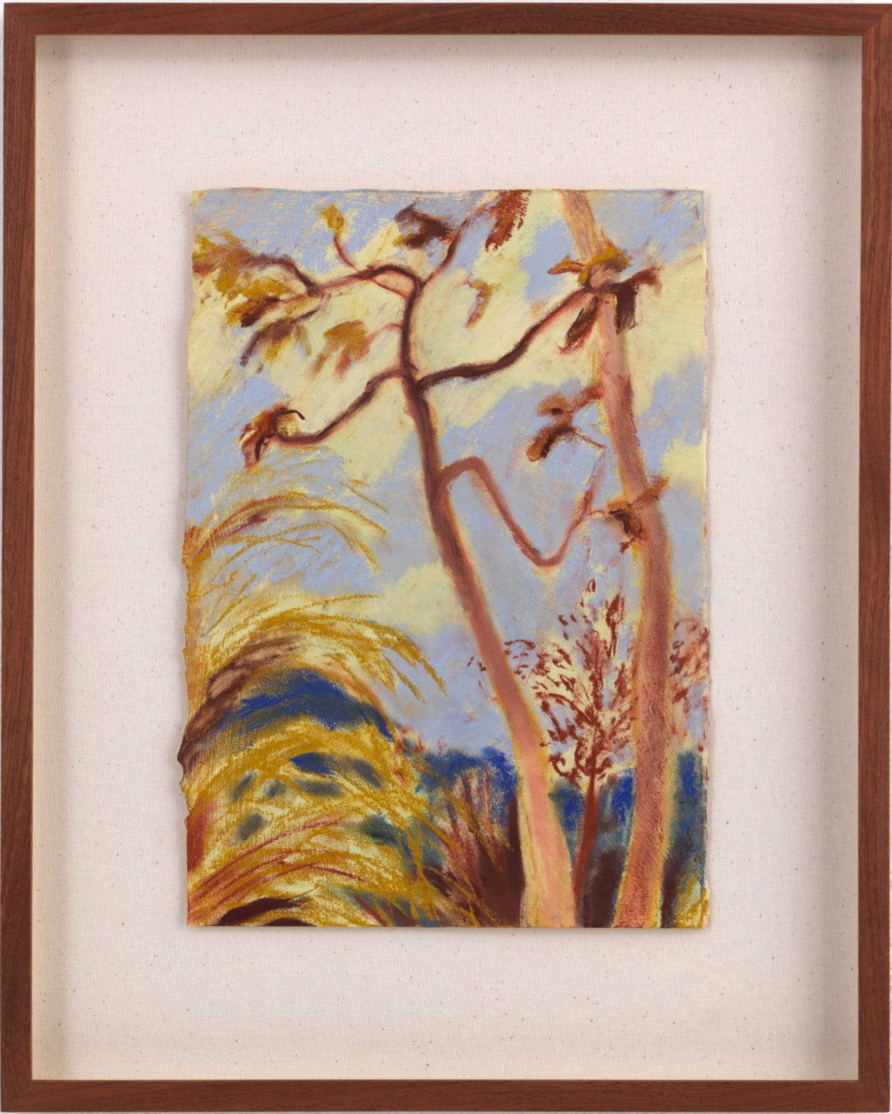 Sammi Lynch, Twisting Tree, 2025
