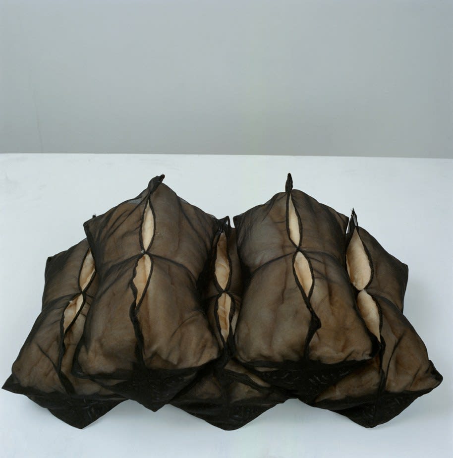 Lucia Nogueira, Untitled (pillow piece), 1988-89