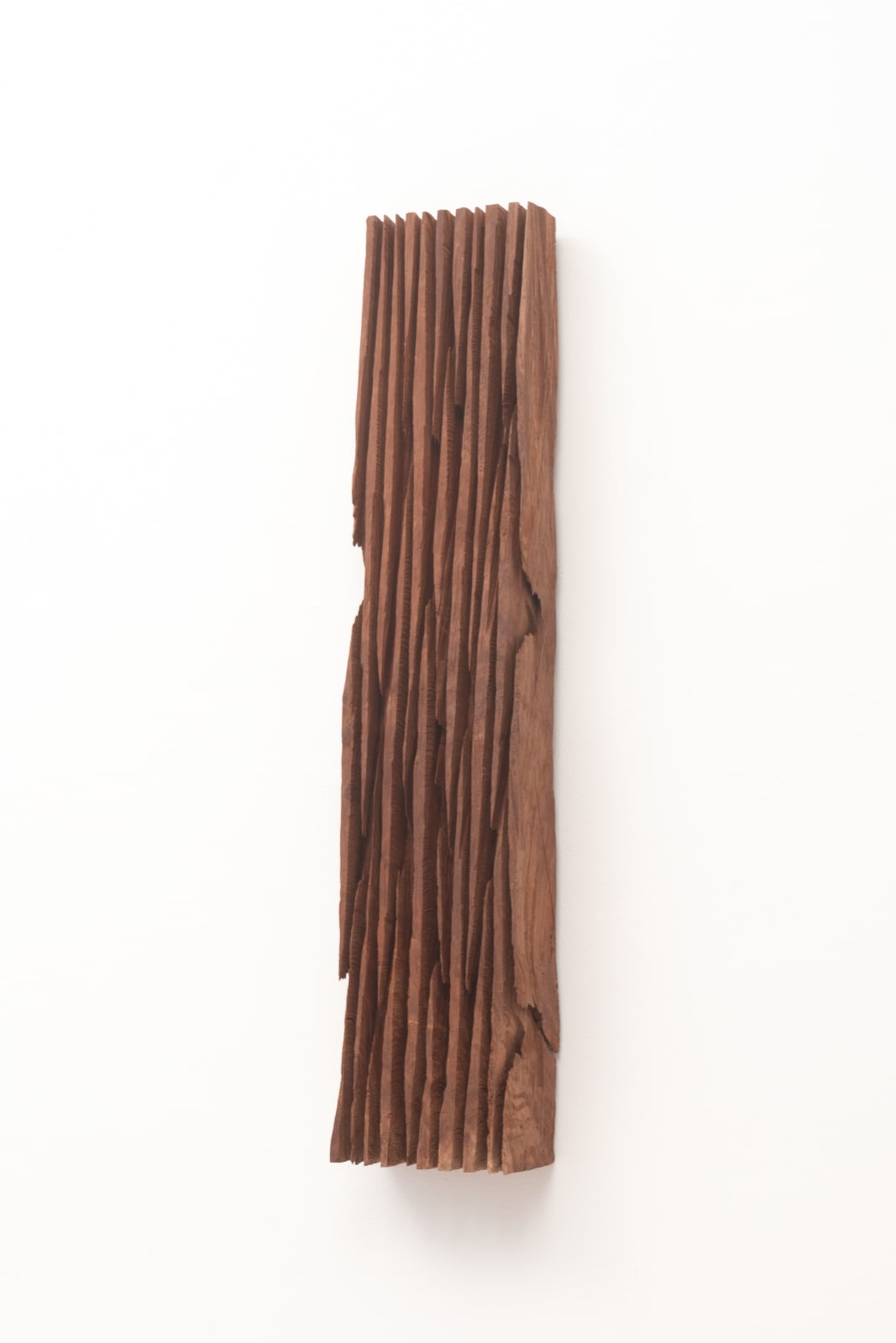 David Nash, Wall Sheave, 2023