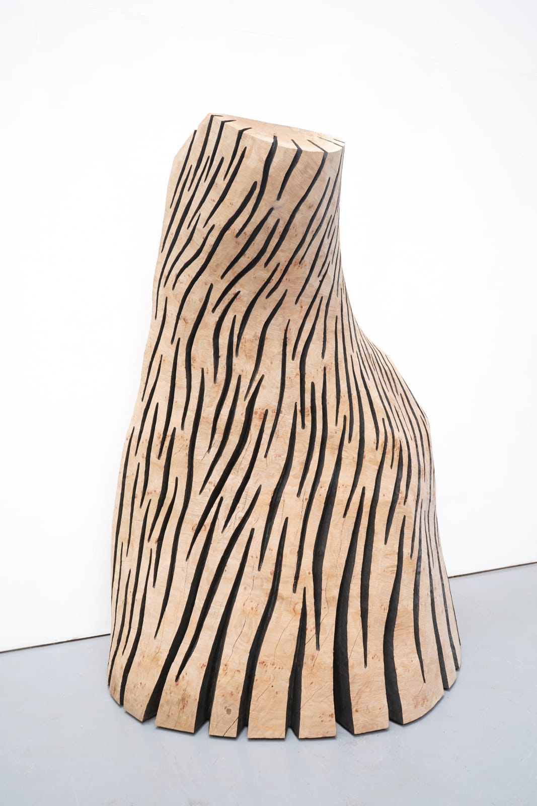 David Nash, Maple Swirl, 2025