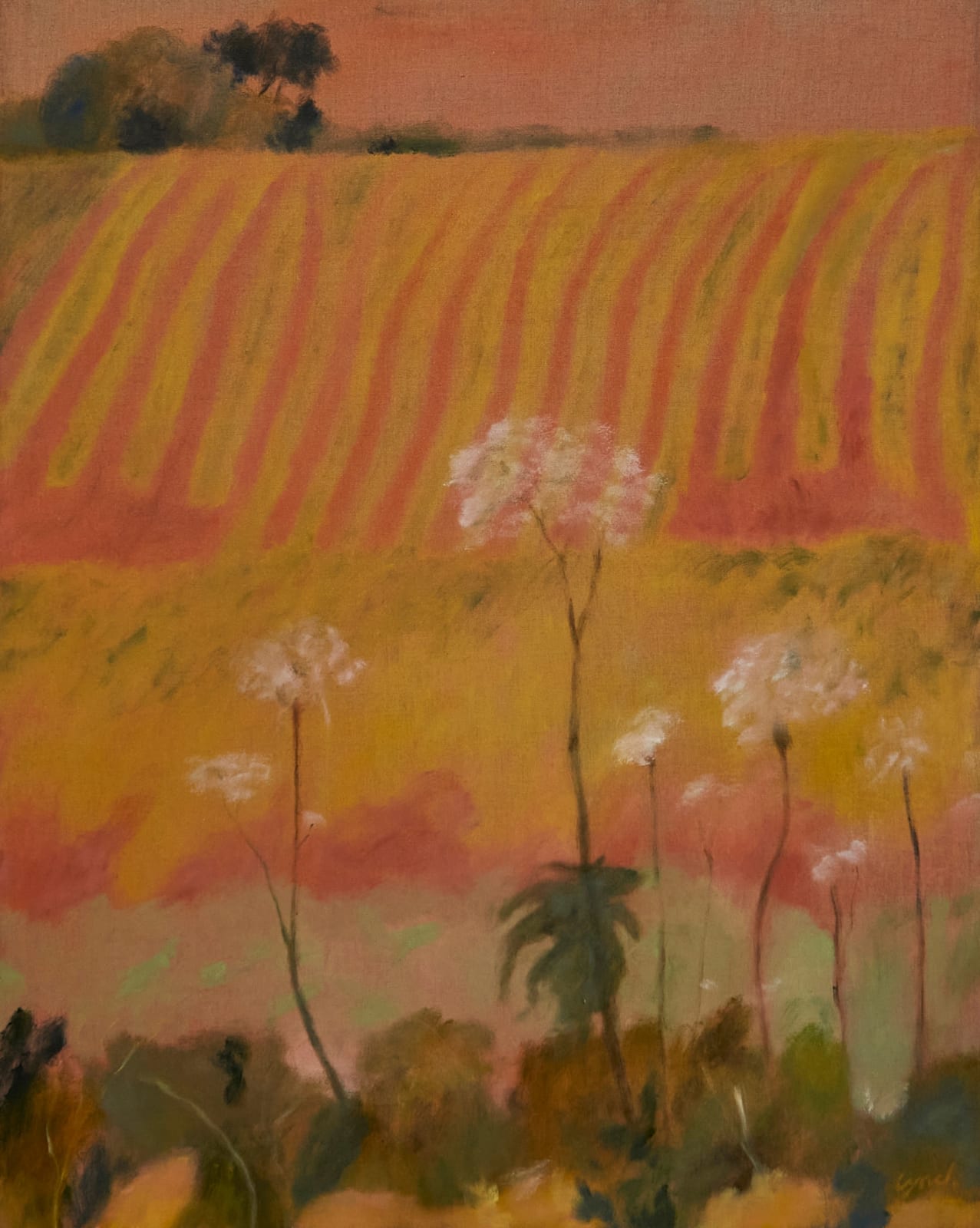 Sammi Lynch, Beware the Giant Hogweed, 2024