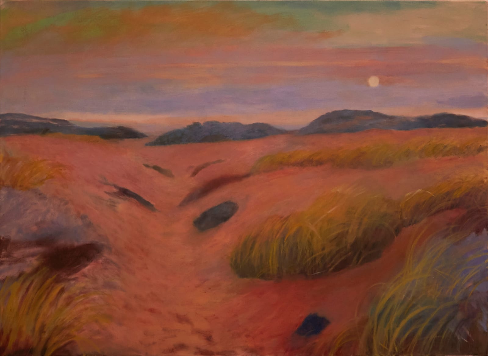 Sammi Lynch, The Wild and Weedy Dunes, 2024