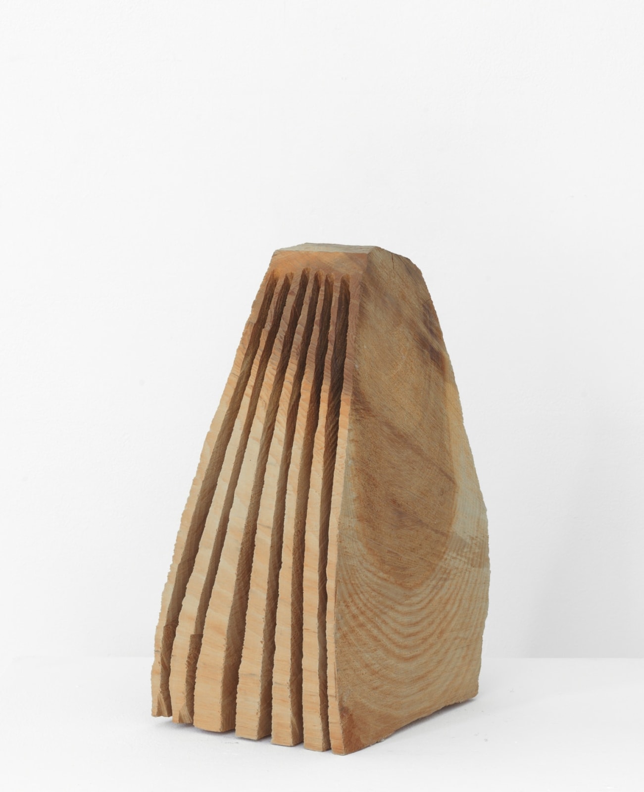 David Nash, Small Drift, 2012