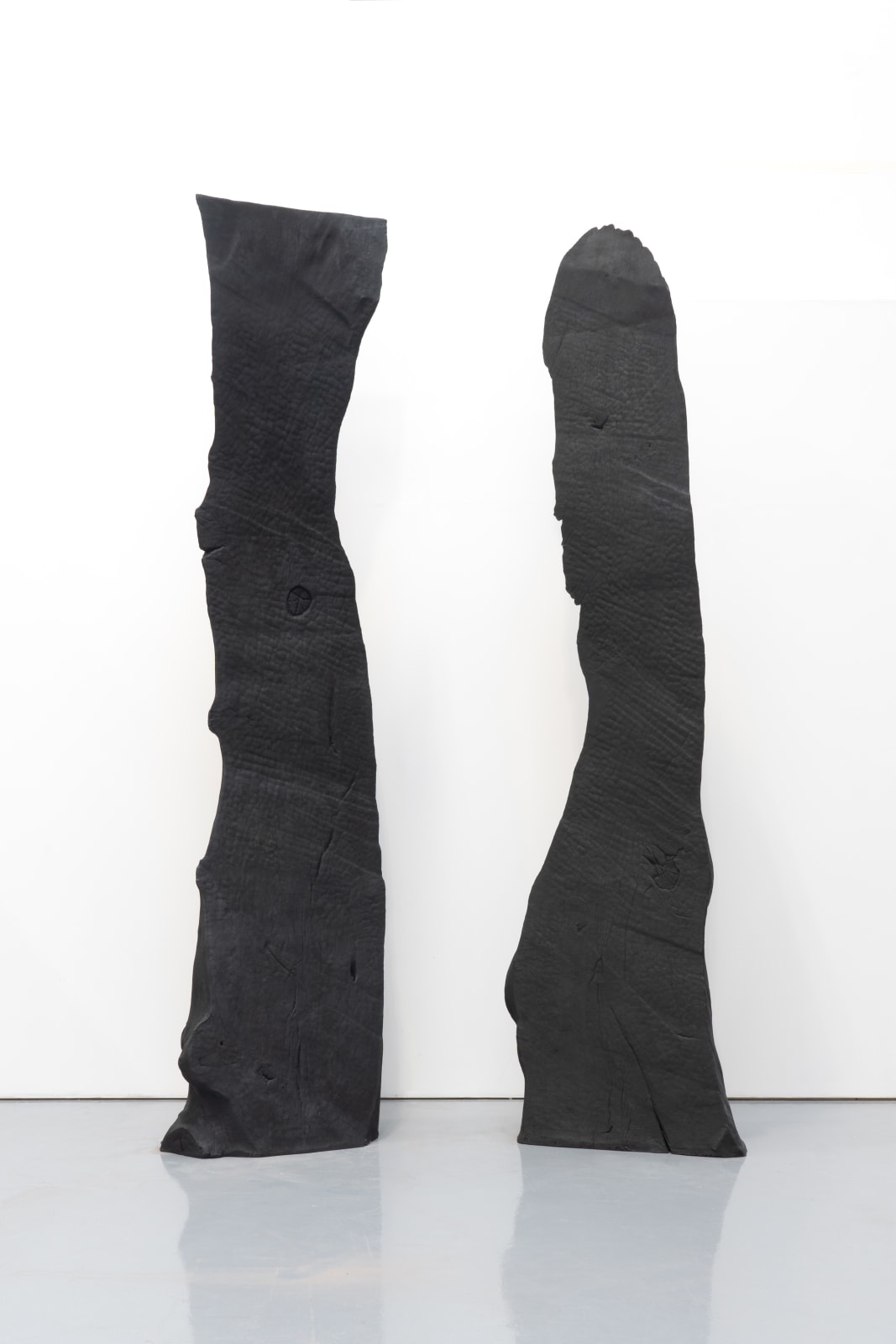 David Nash, King and Queen III, 2022
