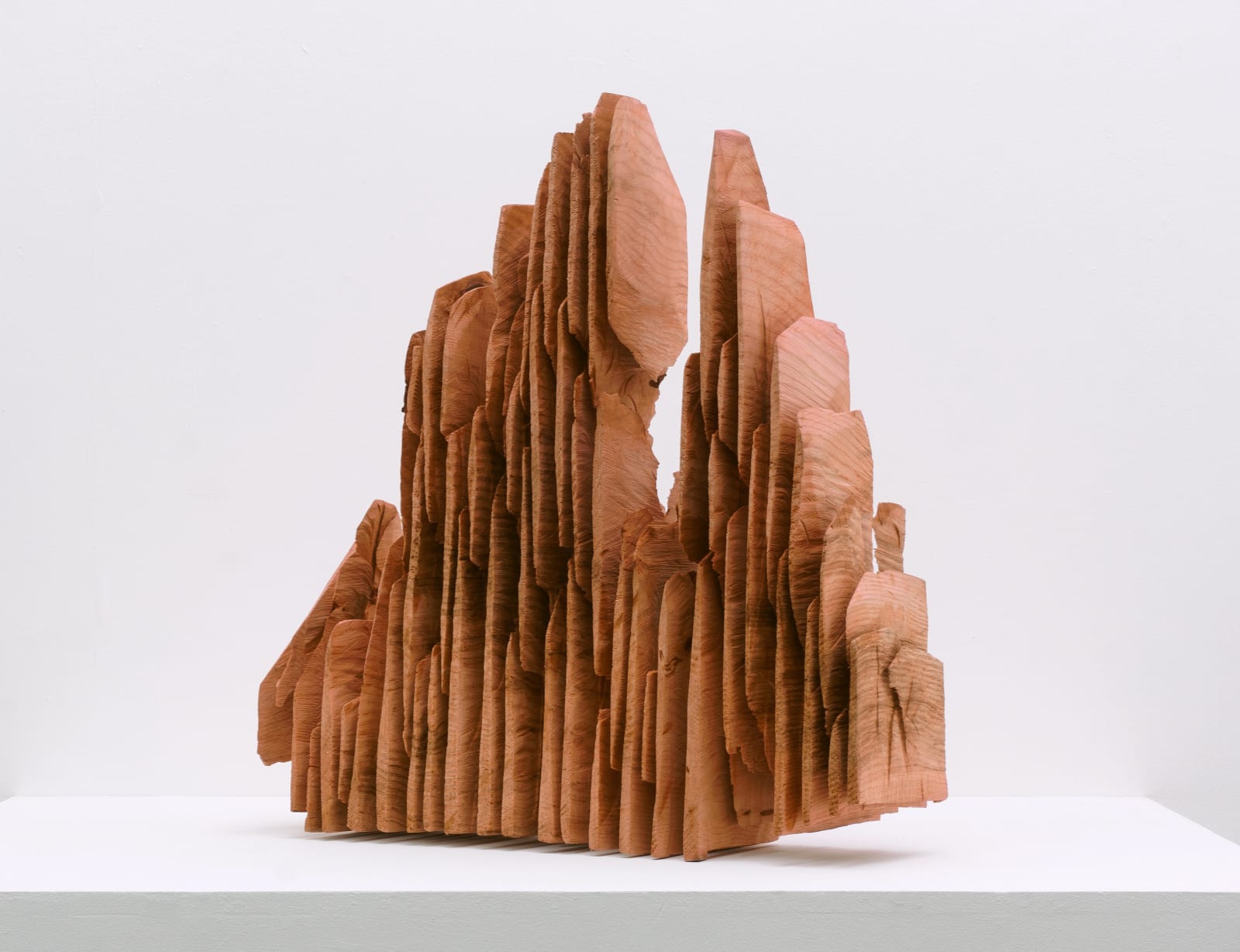 David Nash, Red Slices, 2020