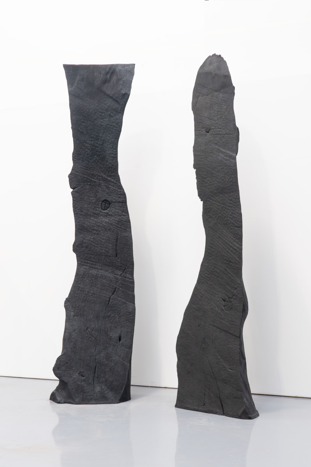 David Nash, King and Queen III, 2022