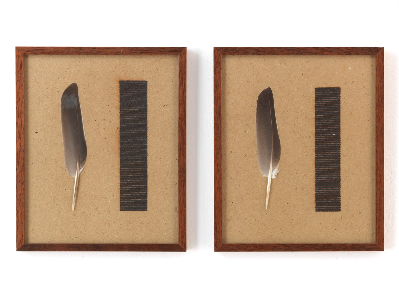 Roger Ackling, One Hour Sun Drawing. Two Feathers, 1976