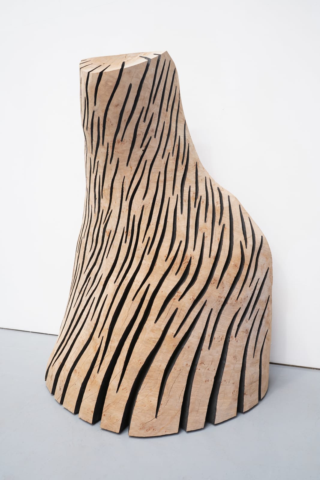 David Nash, Maple Swirl, 2025