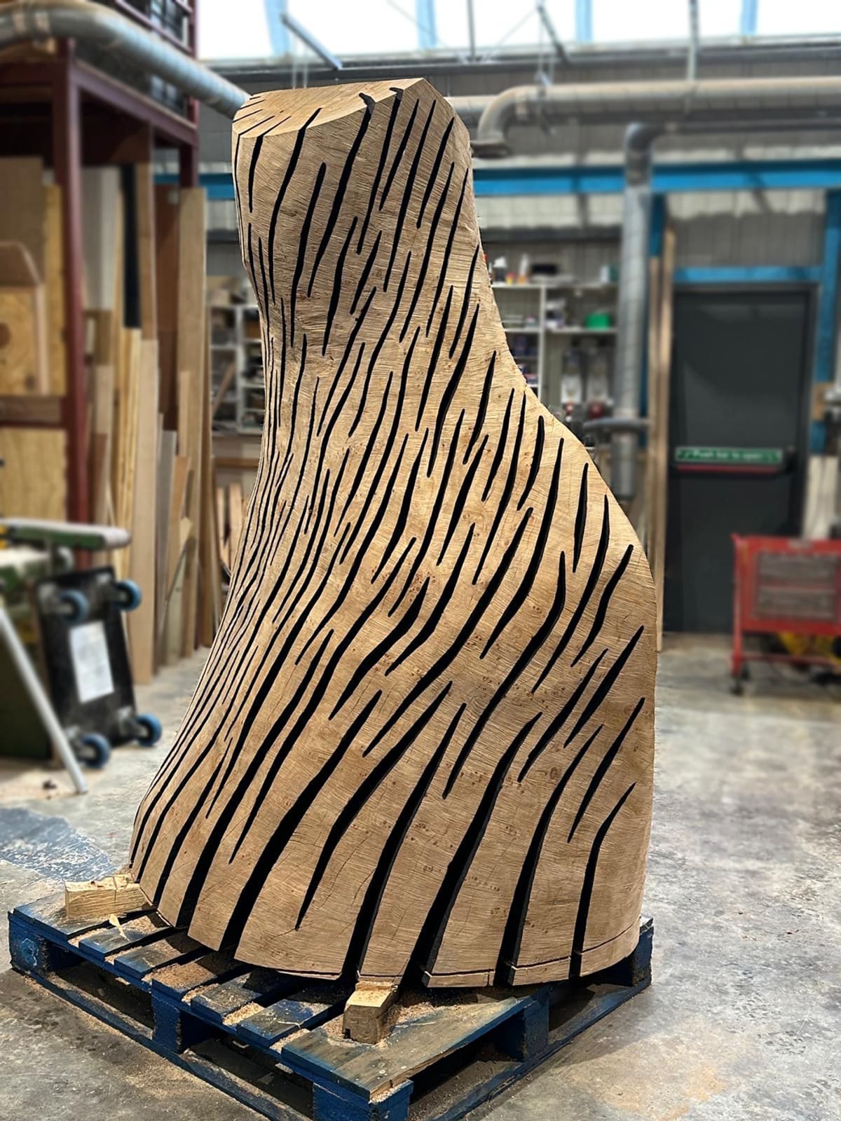 David Nash, Maple Swirl, 2025
