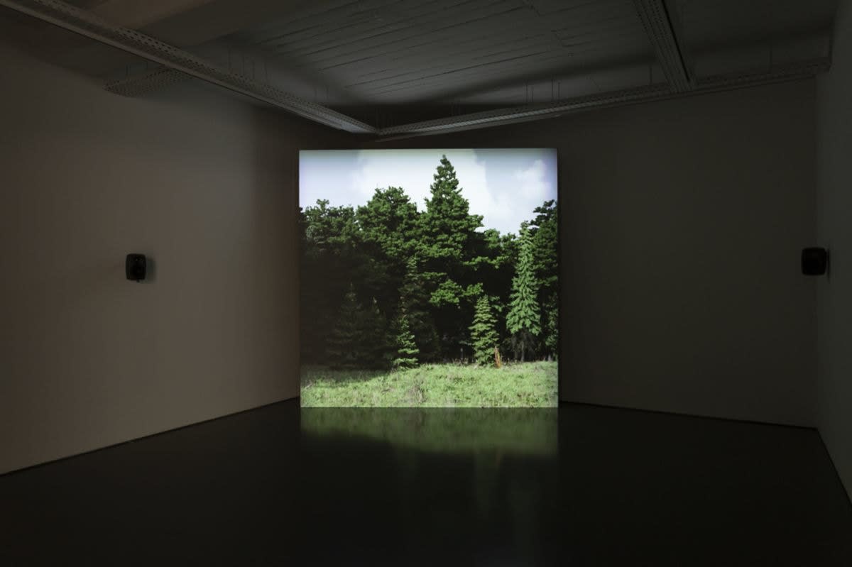 David Claerbout, Wildfire (meditation on fire), 2019-2020