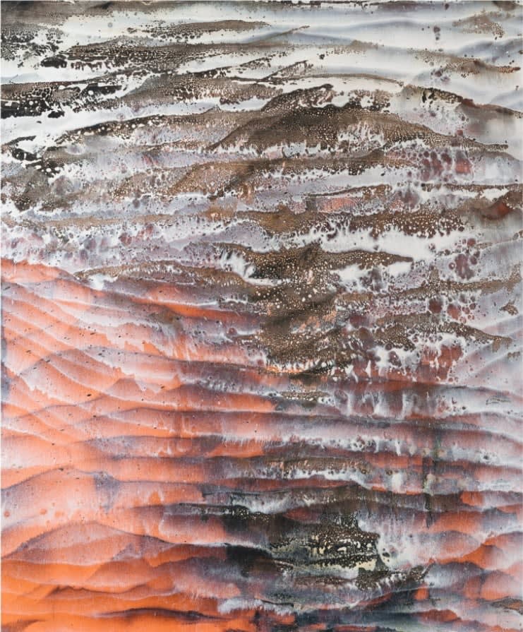 Roberto Coda Zabetta, Merda Arancione, 2016