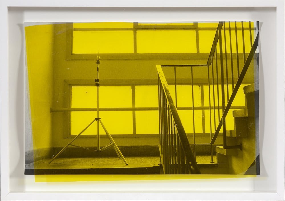 David Maljkovic, Missing Colours, 2010