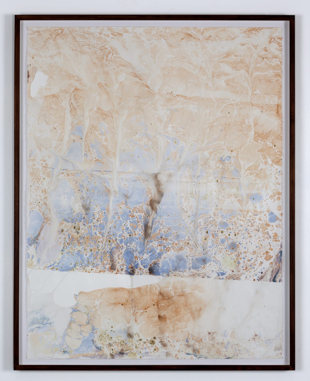Anya Gallaccio, untitled, 2016
