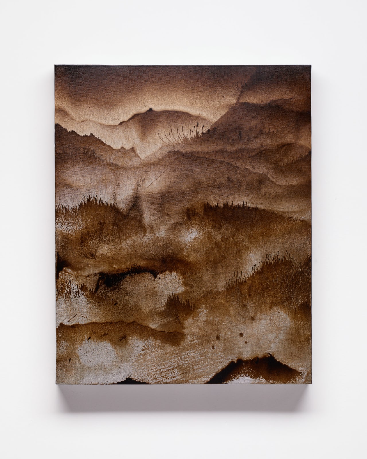 Roberto Coda Zabetta, Verderame 5, 2019