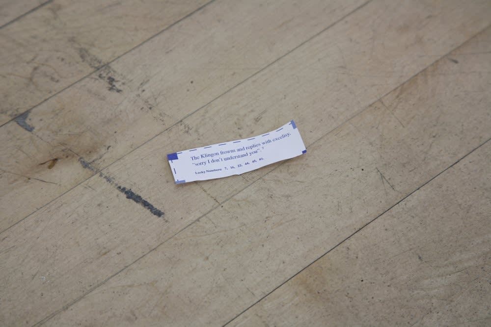 Ryan Gander, The Klingon frowns and simply replies, 2008