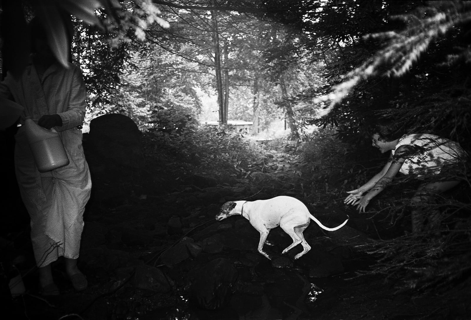 Bertien van Manen, Helen and Camy with dog, Cumberland, 1987