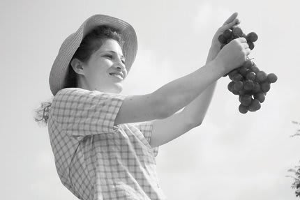 Yael Bartana, 1.The Missing Negatives of the Sonnenfeld Collection, 2008
