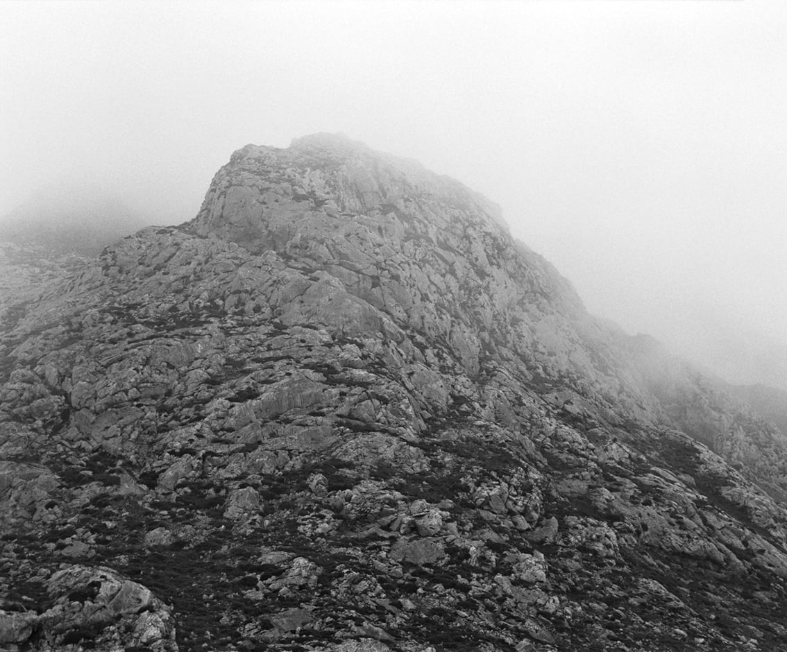 Awoiska van der Molen, #311-16, 2011