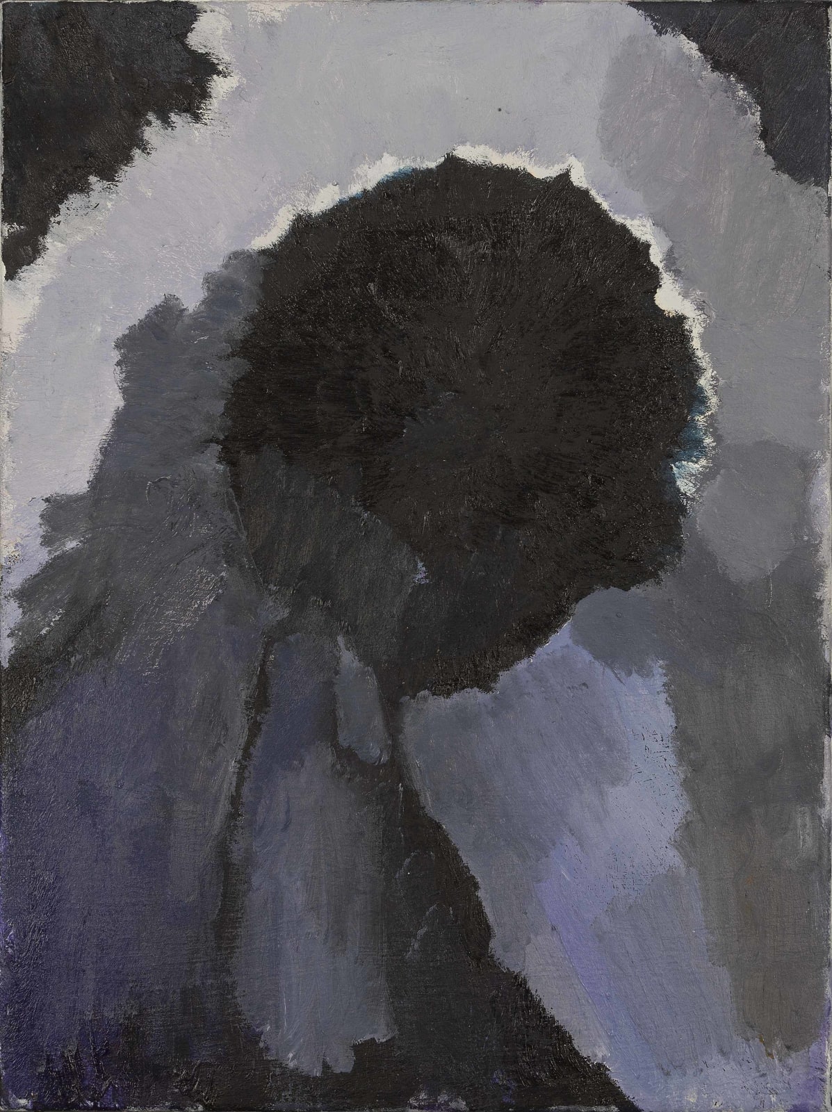 Glenn Sorensen, Head, 2016